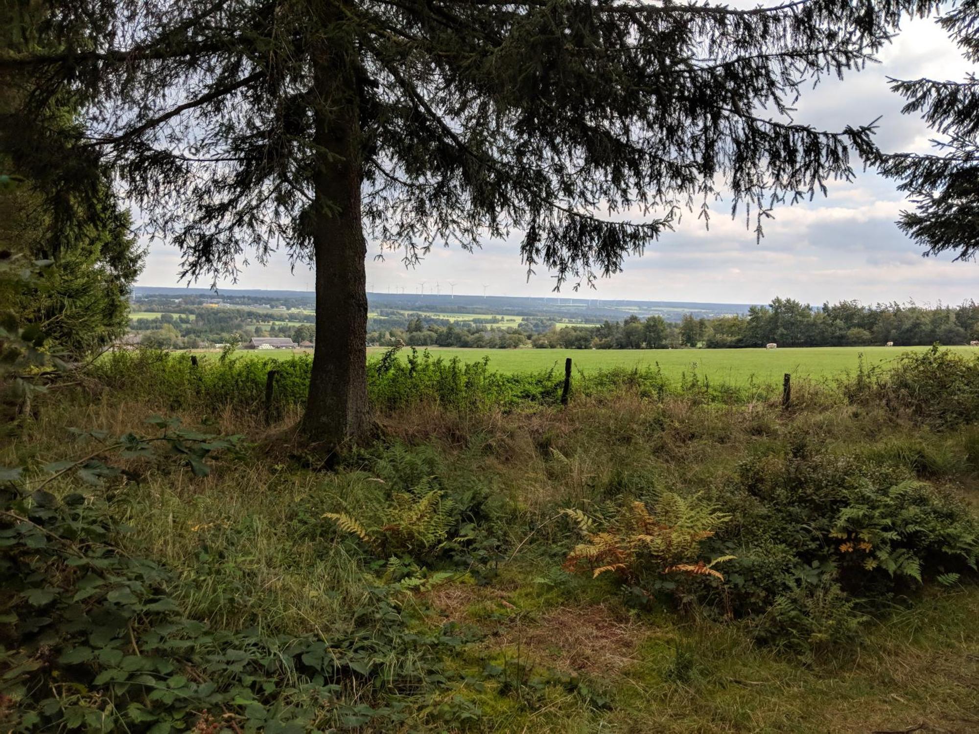 Victorhof Landurlaub Deine Auszeit Im Gruenen, Umgeben Von Wald & Wiesen Моншау Экстерьер фото